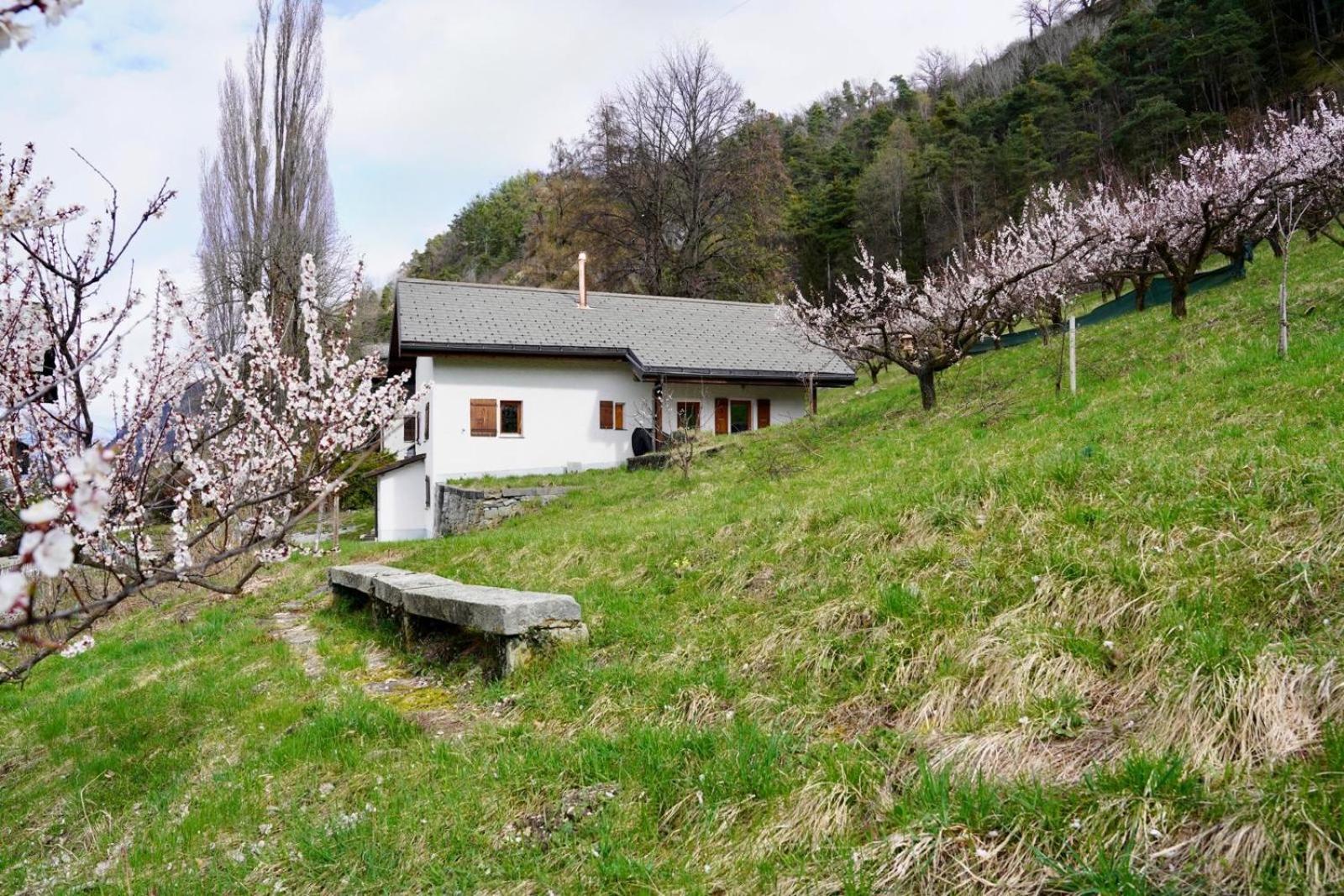 Maisonnette De Campagne ซิยง ภายนอก รูปภาพ